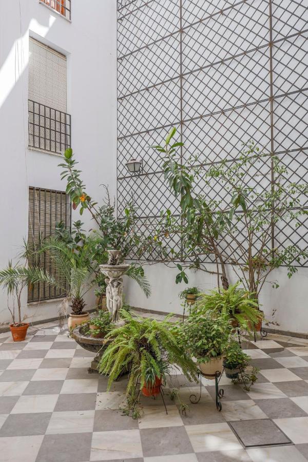 Fantastico Duplex 2 Terrazas 3 Habitaciones 2 Banos セビリア エクステリア 写真